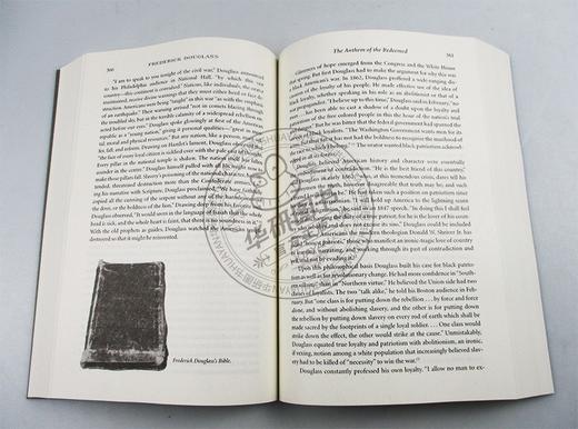 弗雷德里克道格拉斯传 英文原版 人物传记 Frederick Douglass Prophet of Freedom 英文版 进口原版英语书籍 David W. Blight 商品图2