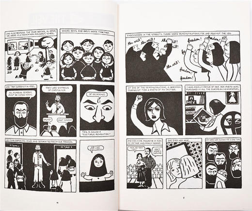 我在伊朗长大 英文原版 Persepolis 英版 波斯波利斯 玛赞莎塔碧 黑白漫画传记电影原著 英文版进口原版英语书籍 商品图2