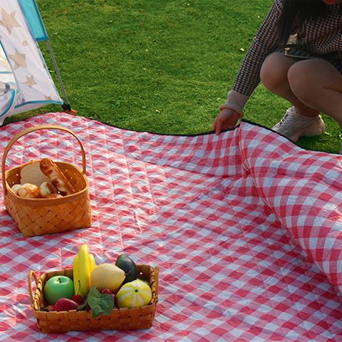 户外春郊游野餐垫草坪露营野炊地垫加厚便携野餐布防水帐篷防潮垫 商品图1