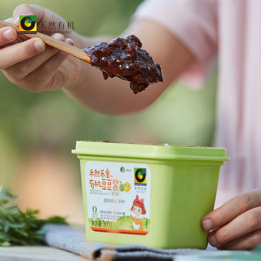 禾然乐童有机豆豆酱300g/盒 商品图2