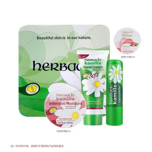 小甘菊纪念礼盒B 商品图0