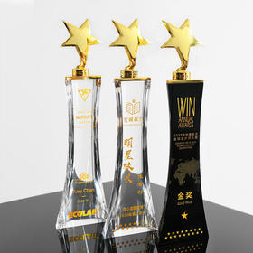 五角星水晶奖杯定制定做儿童创意刻字优秀员工冠军比赛颁奖