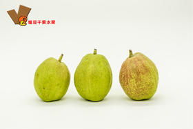 库尔勒香梨 梨子