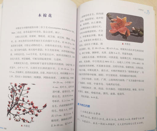 花语女人健康养生图书上下册 商品图1