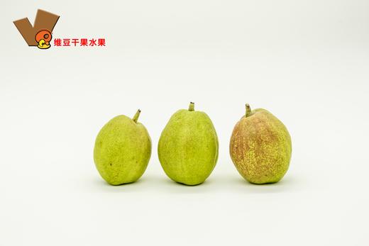 库尔勒香梨 梨子 商品图1
