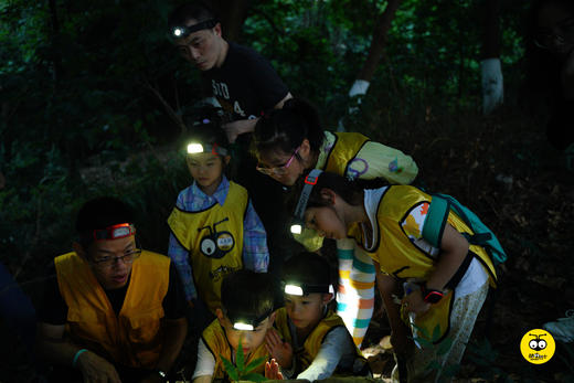 蝴蝶老师| 生日定制、班级定制、节日定制…找酷虫巴士！定制活动合辑 商品图3