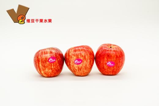 新鲜进口果型美观佳丽果500g 商品图1