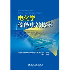 电化学储能电站技术