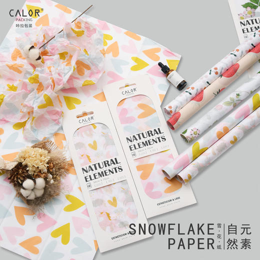 *【琳琅】自然元素雪花纸（10张/包） 商品图0
