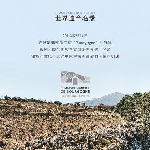 【拉图瓦村庄级AOC】凯撒世家拉图瓦老藤干红葡萄酒 AOC等级 13.5%vol 商品图8