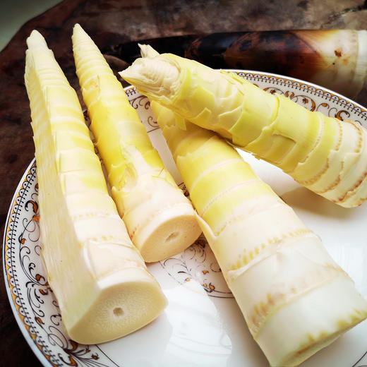 『明月村雷竹笋』现挖现发，鲜嫩甘甜，熊猫都爱吃的笋 商品图0