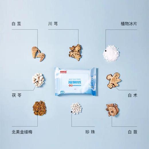 【已下架】远离如厕烦恼 | 马应龙六福 湿厕纸 有痔青年/姨妈期少不了 清爽不黏腻 马桶可冲散120抽[福利品] 商品图8
