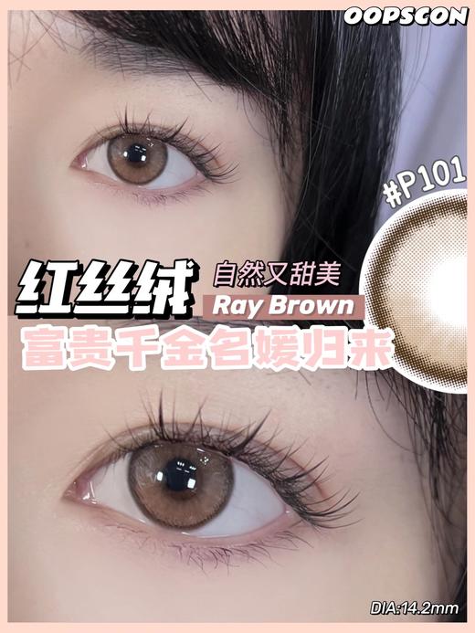 Oopscon Ray系列-Brown  P101 红丝绒 商品图2