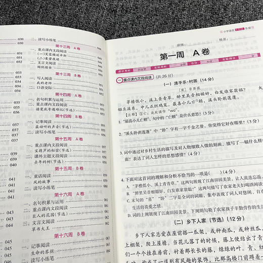 18周读写计划攻略系列  1-6年级  从阅读开始 培养自主学习好习惯 商品图6