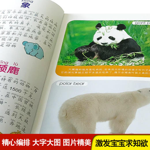 小眼睛大世界快乐认知丛书识动物 儿童早教书籍亲子绘本图书0-3-6周岁儿童启蒙认知宝宝认识物品早教卡片书籍 商品图3