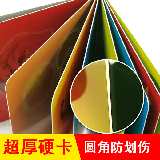 色彩形状幼儿早教卡看图识物早教书婴儿宝宝书籍0-3岁撕不烂益智彩色识字卡片儿童图书绘本6-2-1周岁启蒙认知认字识图认物翻翻看 商品图3