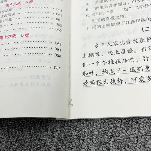 18周读写计划攻略系列  1-6年级  从阅读开始 培养自主学习好习惯 商品图5