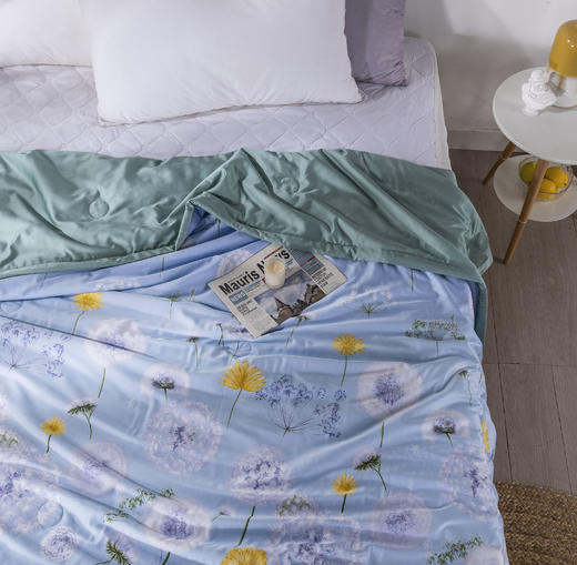 雅眠沁肤大豆夏被 商品图3