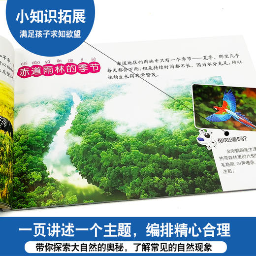 小眼睛看世界 识自然 小马奔奔 0-1-2-3-4-5-6-7岁幼儿启蒙认知丛书 彩图识自然 宝宝识自然 儿童识自然宝宝认识物品早教卡片 商品图3