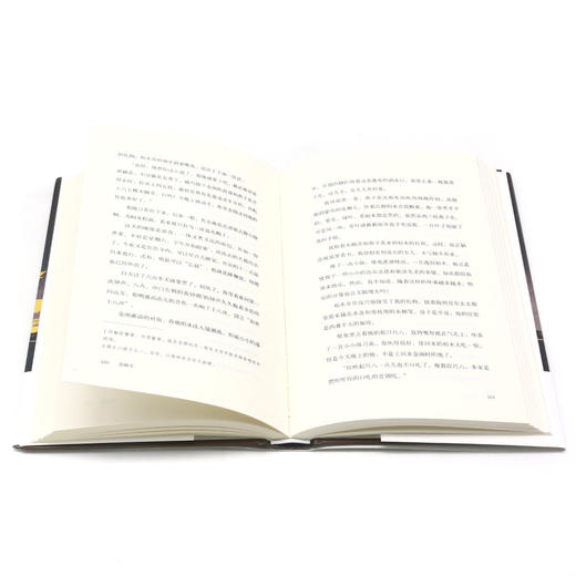 金阁寺(精) 商品图4