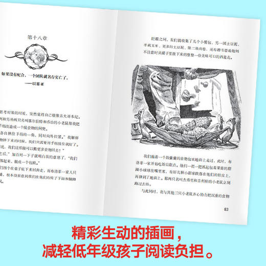 【11-15岁】会说话的老鼠 我爱读大奖小说 詹姆斯帕特森著 儿童文学 能力自信勇气 中信 商品图1