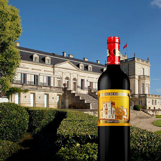 法国宝嘉龙酒庄干红葡萄酒2017/2018/2020 商品图1