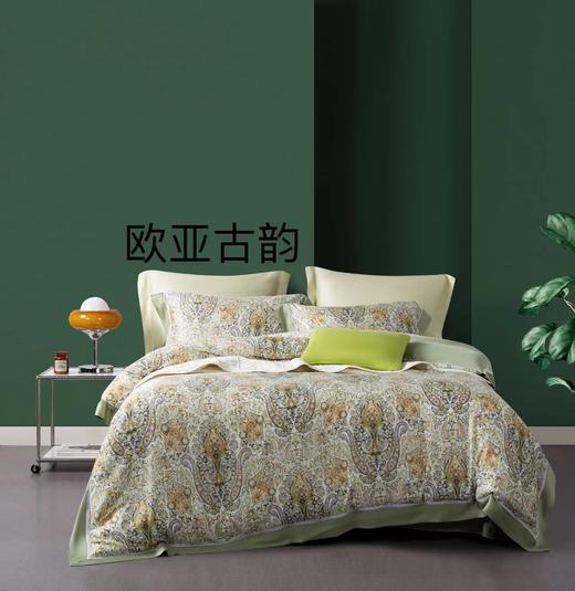 100支天丝床品四件套 床单被罩 床上用品 欧亚古韵 商品图0