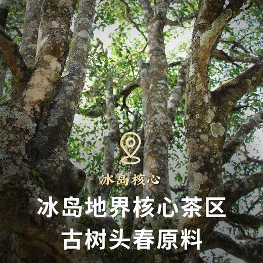 吉顺15周年纪念饼普洱茶生茶饼云南临沧冰岛地界茶叶357g 商品图2