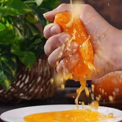 云南高原虎柑  汁多味甜 果肉化渣 商品图2