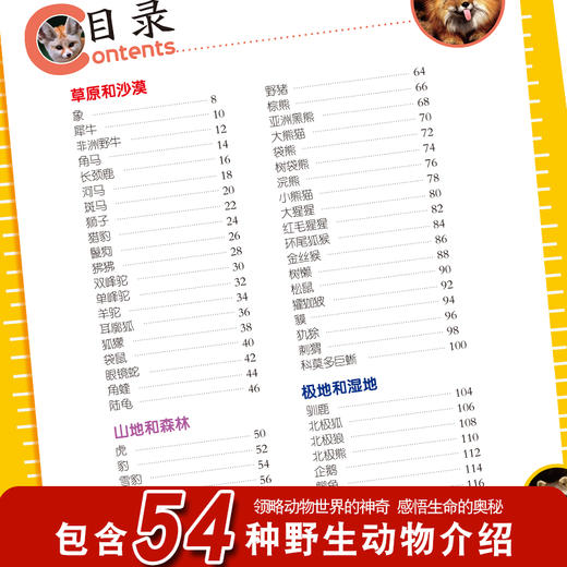 野生动物百科全书幼儿大百科全套动物世界儿童注音版科普小百科海洋空恐龙绘本科学认知幼儿少儿3-6岁书籍dk世界小学生百科书籍 商品图1