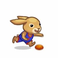 新瑶测试价格普通商品 商品图0