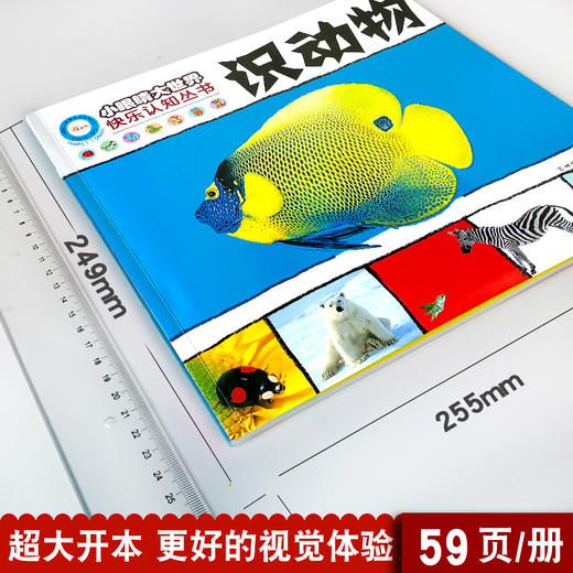 小眼睛大世界快乐认知丛书识动物 儿童早教书籍亲子绘本图书0-3-6周岁儿童启蒙认知宝宝认识物品早教卡片书籍 商品图1