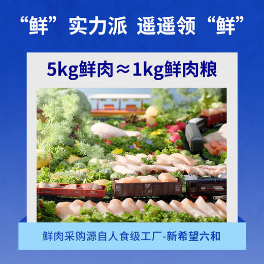 海洋之星 鲜肉低温烘焙 猫粮1kg/4.5kg/袋【原码 带防伪】 商品图6