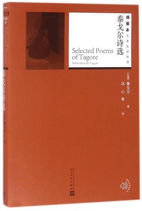 泰戈尔诗选/插图本名著名译丛书