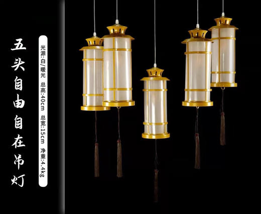 5头自由自在吊灯（运费自理） 商品图0