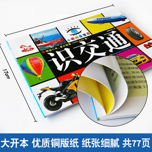 小眼睛看世界 识交通 小马奔奔 0-1-2-3-4-5-6-7岁幼儿启蒙认知丛书 彩图识飞机 宝宝识飞机 儿童识飞机宝宝认识物品早教卡片 商品图1