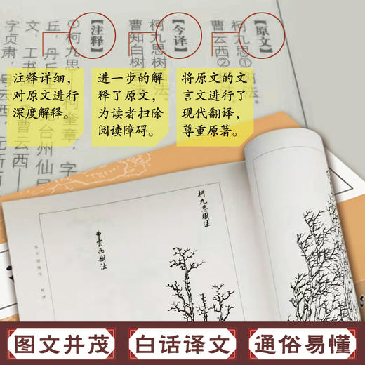 白话芥子园画传画谱今译注释版中国国画临摹技法教材山水花鸟人物梅兰竹菊工笔写意画入门工具教程全集无删减工笔画书技法绘画书籍 商品图1