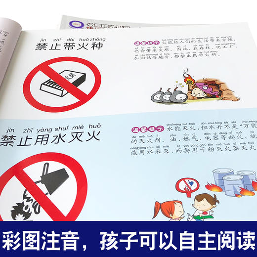 幼儿看图识物早教书 婴儿宝宝书籍0-3-6周岁汽车车标大全 认标志车标宝宝认世界全6册儿童认识名车卡片国旗识图动物恐龙启蒙翻翻看 商品图4