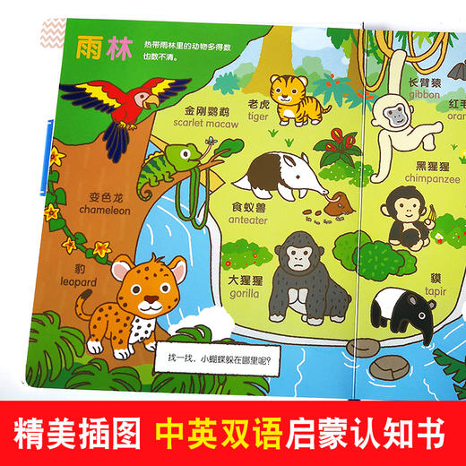 汤米双语认知小百科4 0-4岁中英双语读物情境认知图画书幼儿书籍0-1-2-3-4岁婴幼儿启蒙认知绘本 撕不烂早教书 宝宝认知百科全书 商品图2