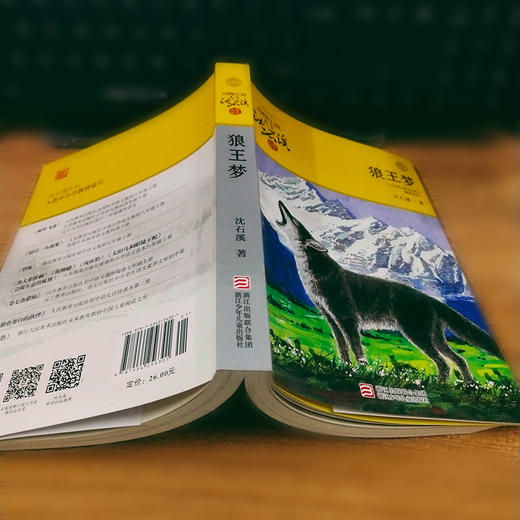 狼王梦正版书免邮沈石溪的书动物小说大王 小学生三四五六年级课外书籍青少年读物8-10-12-15岁儿童文学童话故事书浙江少儿 商品图4
