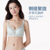 都市丽人B杯常规内衣聚拢升杯中厚蕾丝四排扣无钢圈3/4杯常规文胸LB21C4 商品缩略图1