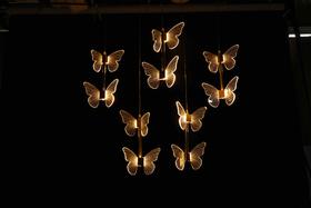 3头比翼双飞吊灯（运费自理）