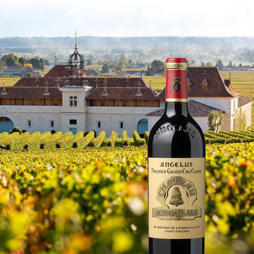 法国金钟酒庄干红葡萄酒2017 商品图1