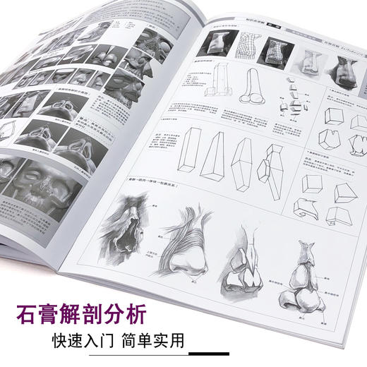 百图百解 五官素描基础教程人物石膏几何体头像静物线性结构高考艺考铅笔画手绘素描入门自学零基础绘画教程书临摹速写美术素描书 商品图4