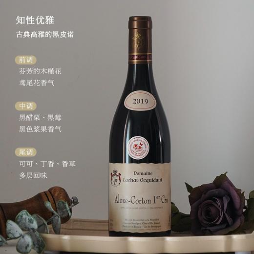 【勃艮第阿罗克斯科登一级园AOC】凯撒世家 阿罗克斯科登一级园干红葡萄酒 AOC等级 13.5%vol 商品图1