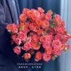 【AB级橙铃铛多头玫瑰】10支/份 长约60-65cm 商品缩略图6