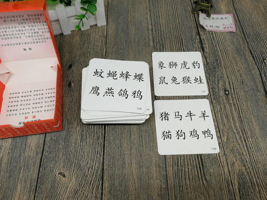 看图识字下 宝宝婴幼儿园象形认字识字卡片0-3-6岁早教学字卡片学龄前儿童儿童早教书籍 亲子学前图书 学龄前幼儿园学前班教育书籍 商品图4