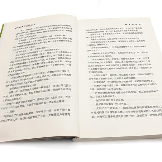 睡床垫的熊/黑鹤自然之歌系列书 格日勒其木格·黑鹤 插图单色假期学校推荐书目 不注音三四五六年级课外书9-12岁儿童课外阅读书籍 商品图2