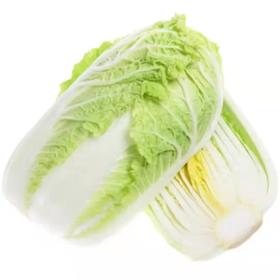 大白菜（圆）1个*1000g±100g
