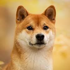 测试留言完整内容